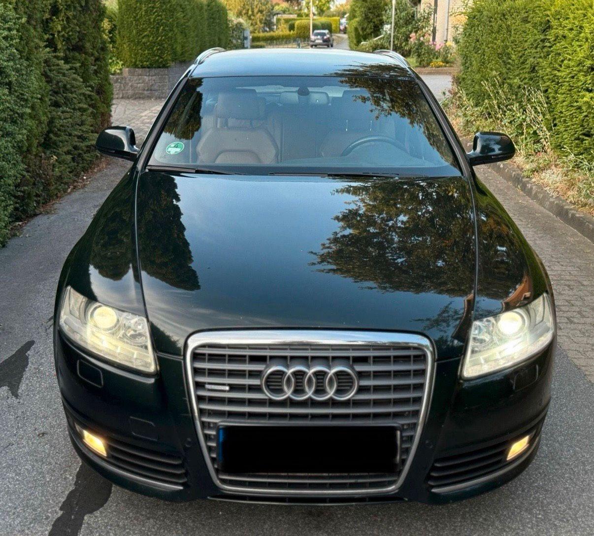 Audi Quattro 2010 — rear view