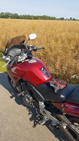 Honda CBF600SA  - Angebote
