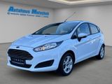 Ford Fiesta Trend 1.25 Bluetooth Reifendruck Kollisio - Ford Fiesta aus 2014