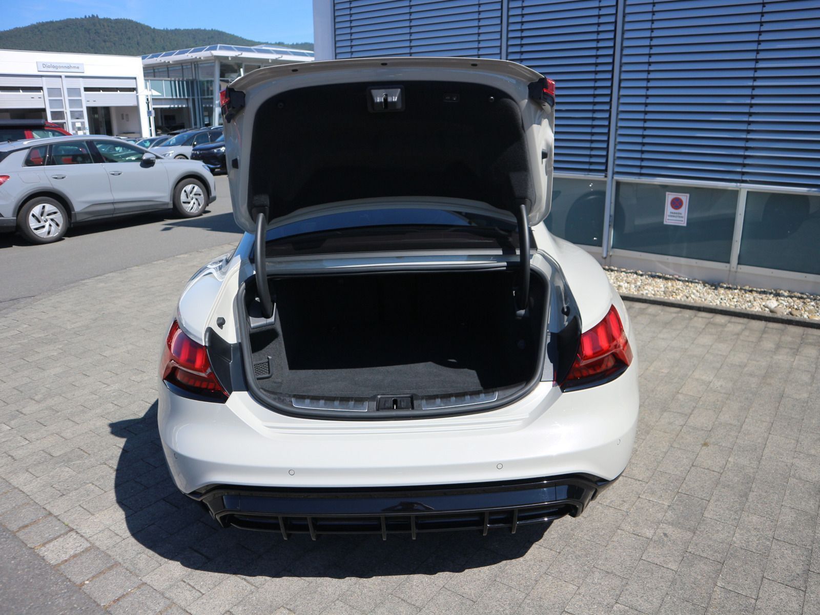 Audi RS e-tron GT - Bild 22