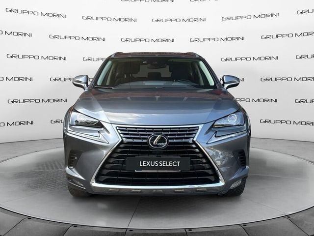 LEXUS ANDERE