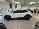 Mazda CX-30 Skyactiv 2.5 l 140 PS AT Nagisa - Mazda CX-30: Nagisa