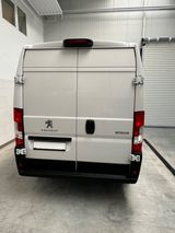 Peugeot Boxer Kastenwagen L3 H2 Blue HDI 165/SONDERPREIS - Peugeot Boxer: Kastenwagen