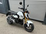 Honda MSX 125 GROM / "TAGESZULASSUNG 2025" !!