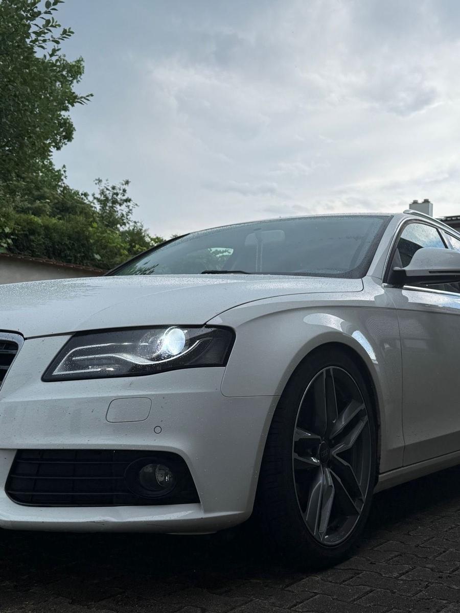 Audi A4 2009 — photo 8