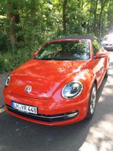 Volkswagen Beetle 1.2 TSI BMT Design Cabriolet Design - Volkswagen Beetle: Rot, Cabrio