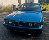 BMW 530 V8 E34 - gebrauchte BMW 5er Reihe aus dem Jahr 1994