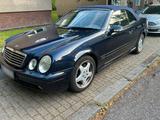 Mercedes-Benz Mercedes Clk 430 Cabrio AMG Paket ab Werk 55 - Mercedes-Benz CLK 430: AMG