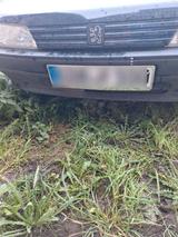 Peugeot Ich bitte ein 25kh Auto an - Peugeot aus 1994