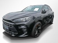 Cupra Terramar - Vorschau Bild 11