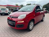 Fiat Panda My Panda*Klima*Servo*Tüv Neu* - gebrauchte Fiat Panda aus dem Jahr 2014