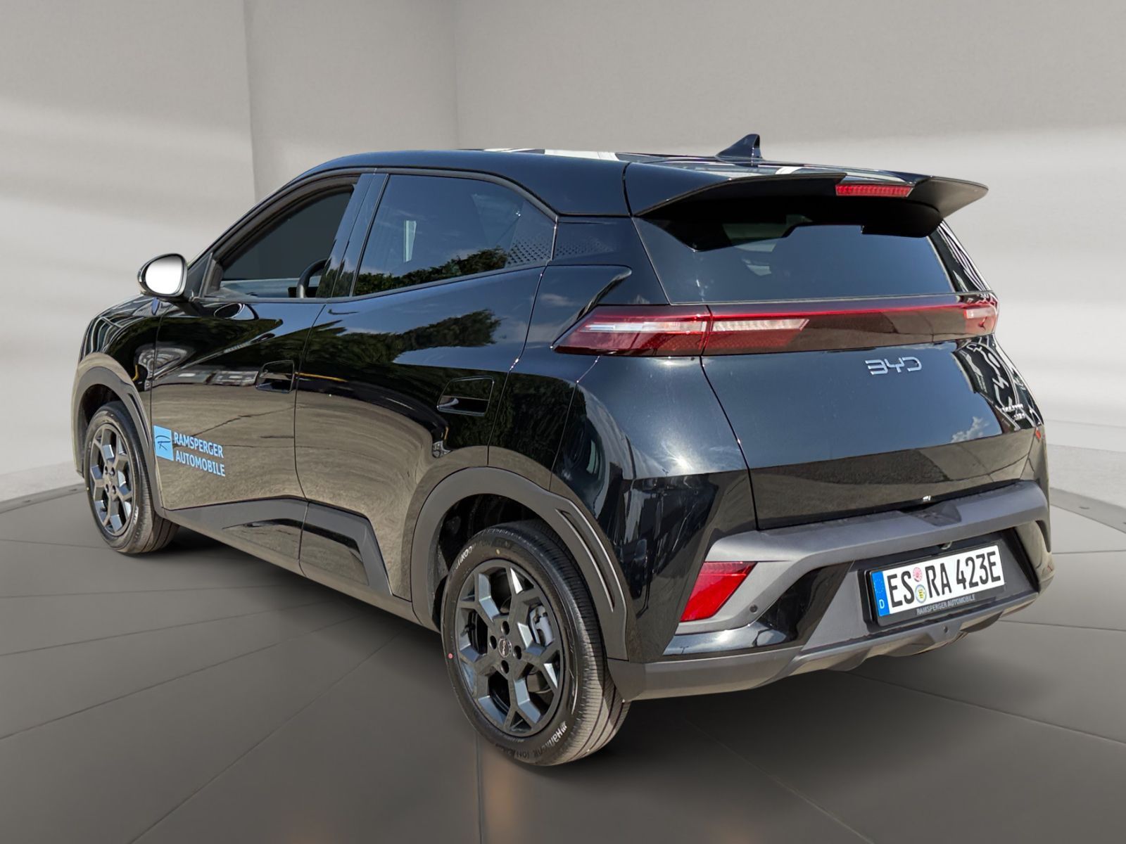 BYD DOLPHIN SURF