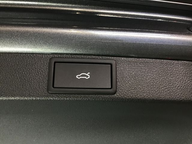 Fahrzeugabbildung Skoda Octavia Selection 1.5TSI DSG/AHK/ACC/Panorama