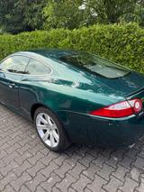 Jaguar XK 3.5L V8 Coupé - - Jaguar XK: 3.5