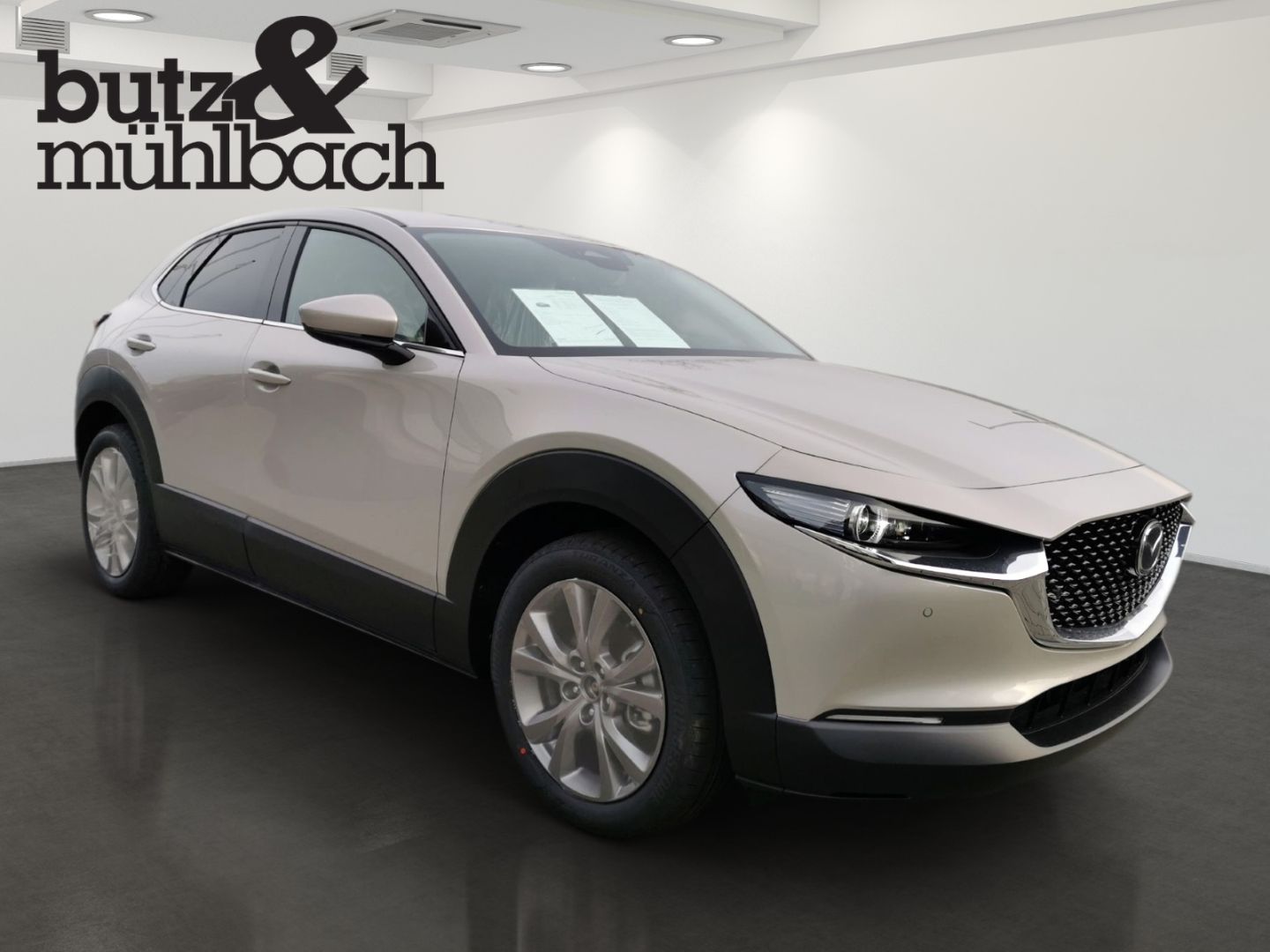 Mazda CX-30 - Bild 2