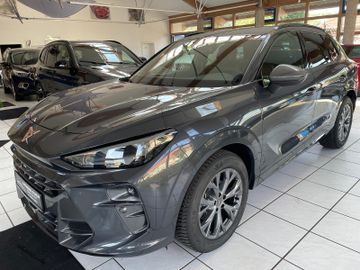 Cupra Terramar - 1