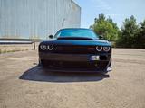 Dodge Challenger 6.4L SCAT PACK Widebody - Dodge Challenger von privat