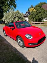 Volkswagen New Beetle - Volkswagen New Beetle: Cabrio