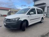 Volkswagen Caddy Maxi - VW Caddy Maxi von privat