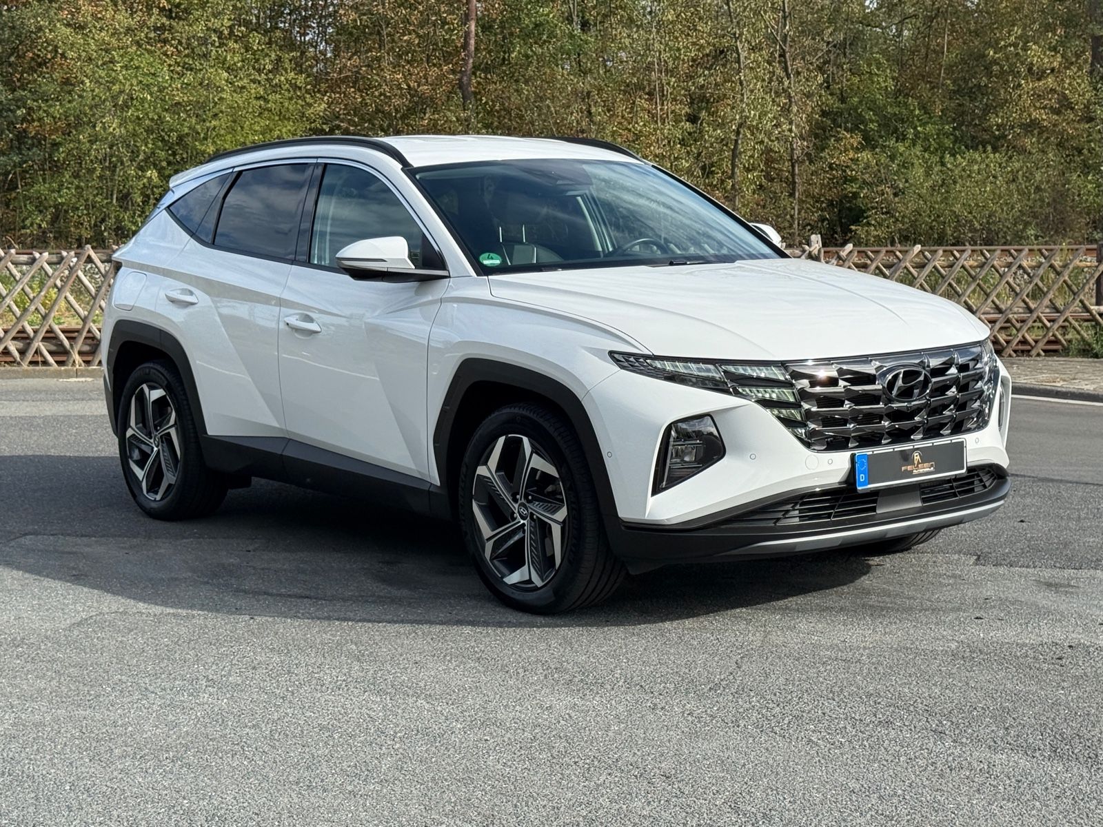 Hyundai Tucson Prime Plug-In Hybrid 4WD *Viele Extras*