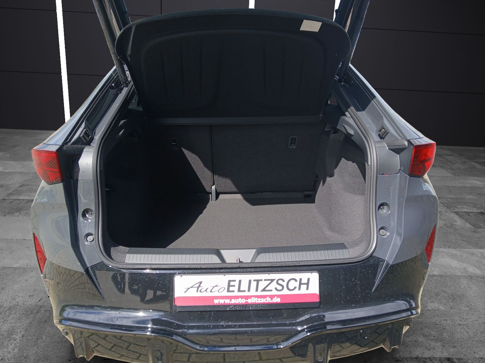 Fahrzeugabbildung CUPRA Tavascan VZ 4Drive BelowZero