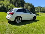 Audi SQ5 TDI quattro - neue Reifen, top Zustand - gebrauchte Audi SQ5 aus dem Jahr 2024