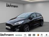 Ford Fiesta ST-Line Apps PDC RFK SHZ heizb.FS GJR - gebrauchte Kleinwagen in Iserlohn