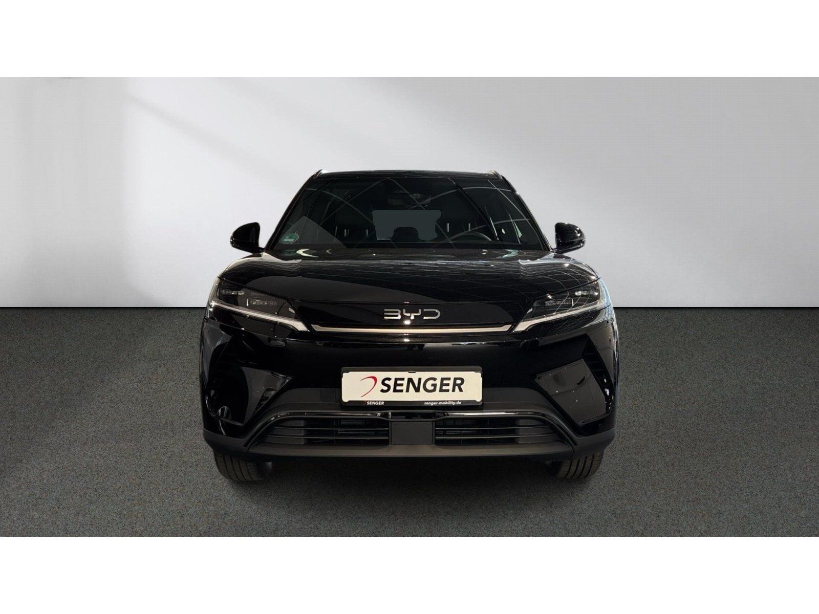BYD ATTO 2