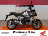 Honda MSX125 Grom ABS - Offers matching your search criteria