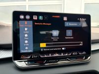 Cupra Terramar VZ 1.5 e-HYBR. DSG LEDER PANO AHK 5JGAR bei Autohaus Landmann & Maier OHG