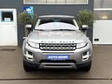 Land Rover Range Rover Evoque Pure *HU/AU NEU* - Land Rover Gebrauchtwagen