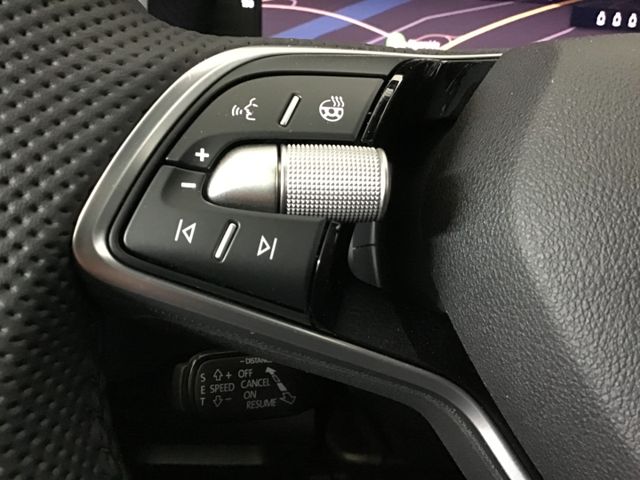 Fahrzeugabbildung Skoda Karoq Sportline 1.5TSI DSG/ACC/AHK/Matrix/Navi