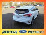 Ford Focus ST-Line Navi Kamera Sitzheizung LED PDC - Ford Focus: Weiß, ST