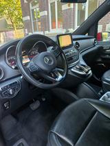 Mercedes-Benz V 250 BlueTEC AVANTGARDE EDITION lang AVANTG... - Mercedes-Benz V 250 in Duisburg