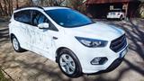 Ford Kuga 1,5 EcoBoost 4x4 134kW ST-Line Automat ... - Ford Gebrauchtwagen in Rheine