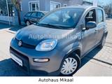 Fiat Panda Sport - gebrauchte Fiat Panda aus dem Jahr 2022