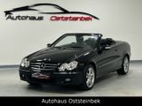 Mercedes-Benz CLK 200 KOMPRESSOR/CABRIO/AVANTGARDE/XEN/PDC/SHZ - Mercedes-Benz: Clk