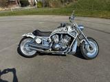 Harley-Davidson VRSCA V- Rod  - HARLEY-DAVIDSON VRSCA