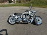 Harley-Davidson VRSCA V- Rod  - MOTORRAD AUS DEM JAHR 2003