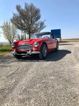 Austin Healey 3000 MK3 (BJ8) - Austin Healey Gebrauchtwagen