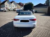Audi A5 Cabriolet 3.0 TDI- 6-Zyl. Top gepflegt - Audi A5: Cabrio, 3.0