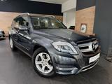 Mercedes-Benz GLK 220 CDI BlueTec 4Matic/H&K/Comand - Mercedes-Benz GLK 220 in Bonn