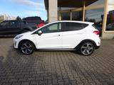 Ford Fiesta 100PS Autm. Active Plus Navi Pano B&O - Ford Fiesta: Schiebedach