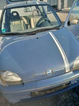 Fiat Seicento - Fiat Seicento Gebrauchtwagen