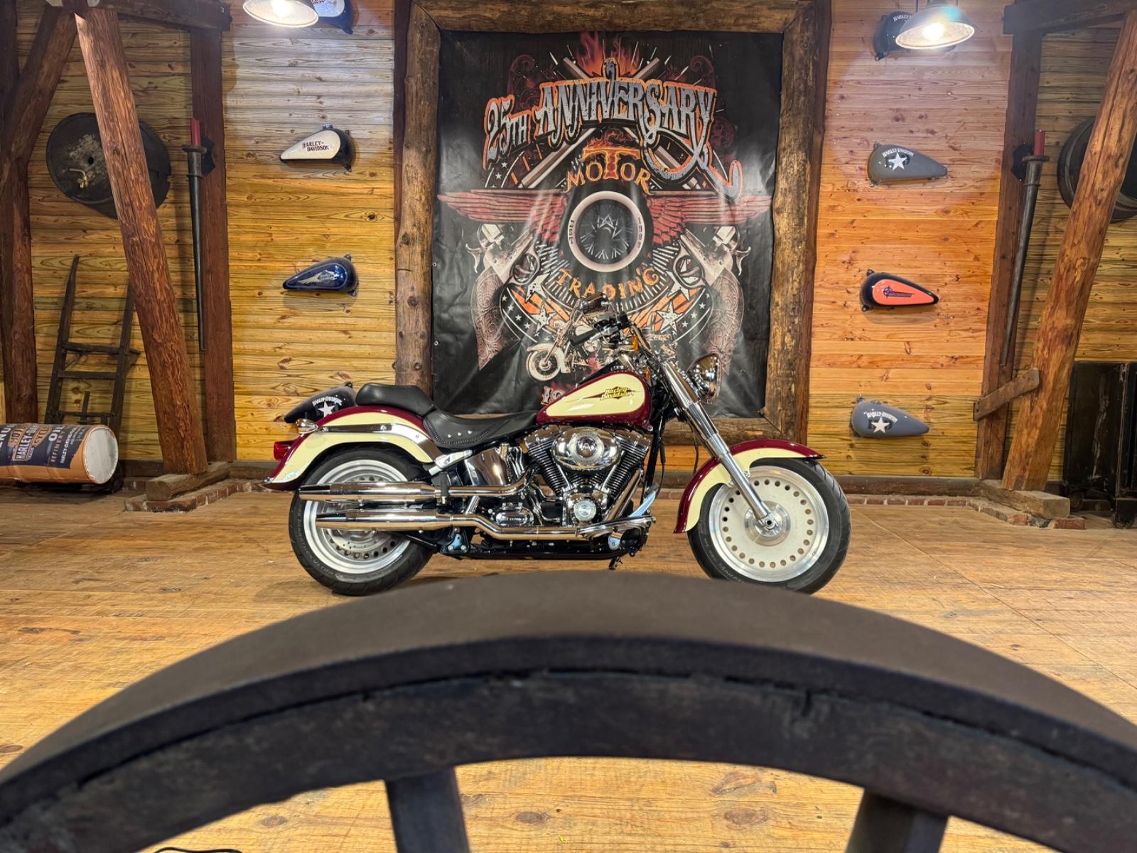 Harley-Davidson FLSTF FAT Boy Softail Fatboy Special Paint