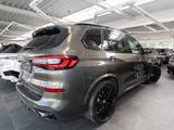 BMW X5 xDrive40d (2019 - 2023) M Sport HUD PANO ACC - BMW X5: Grün