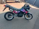 Suzuki DR 650 - SUZUKI 650 DR