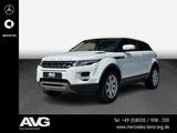 Land Rover Range Rover Evoque 2.2 TD4 Pure Pano PDC XENON - Land Rover Gebrauchtwagen von 2013