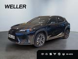 Lexus UX 300h F SPORT Design *LED*Kamera*SHZ*PDC v+h* - Lexus UX Neuwagen