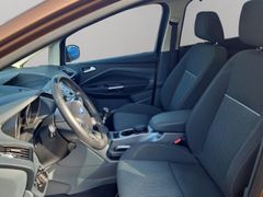FORD C-Max 1.6 TDCi Champion Navi SHZ Parklenkass. No